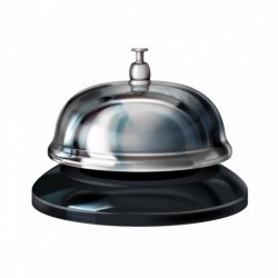 Stainless Reception Bell